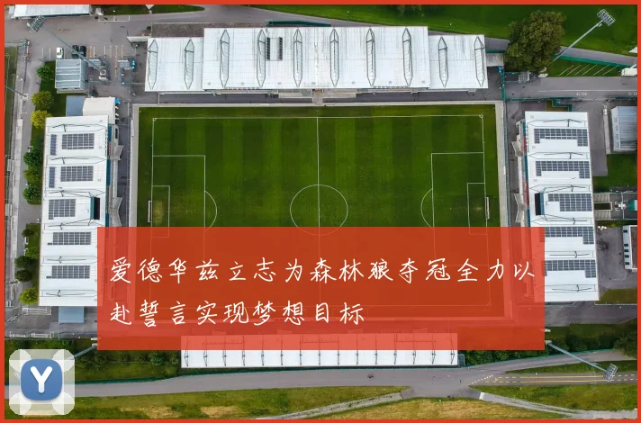 爱德华兹立志为森林狼夺冠全力以赴誓言实现梦想目标